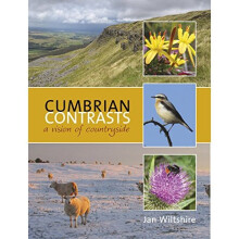 Cumbrian Contrasts: A Vision of Countryside