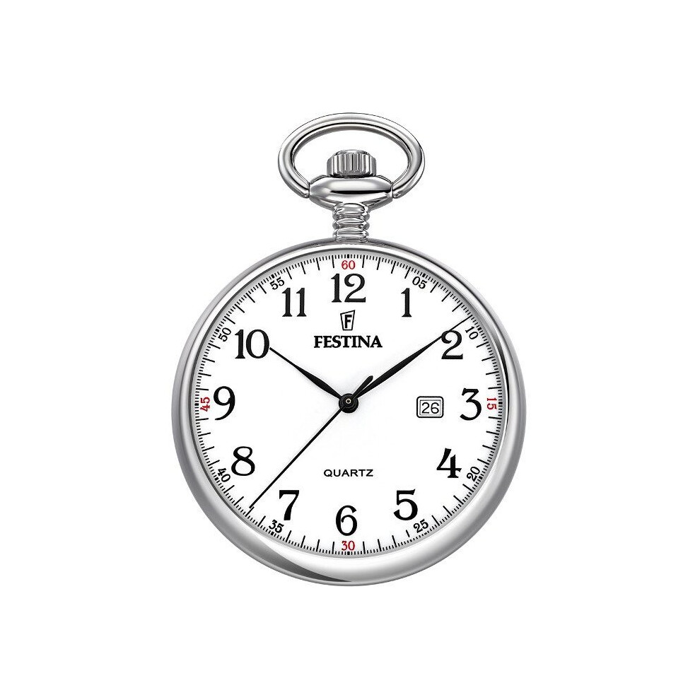 Festina F2019/1 - Men`S Watch