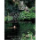Natural Swimming Pools (Schiffer Design Books) 1