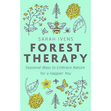 Forest Therapy: Seasonal Ways to Embrace Nature for a Happier You