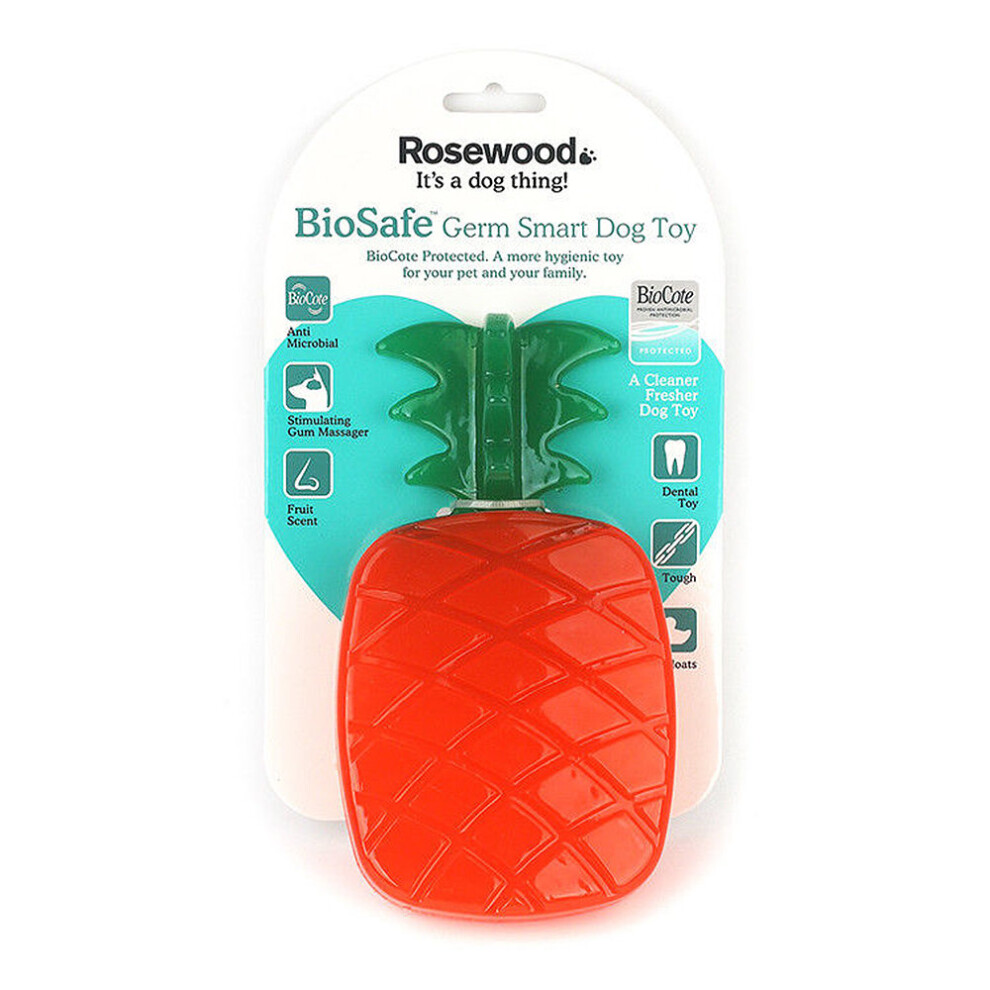 Rosewood BioSafe Pineapple Dog Toy