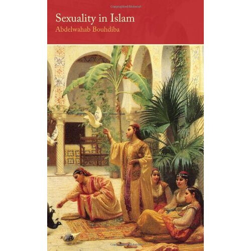 Sexuality in Islam (Saqi Essentials)