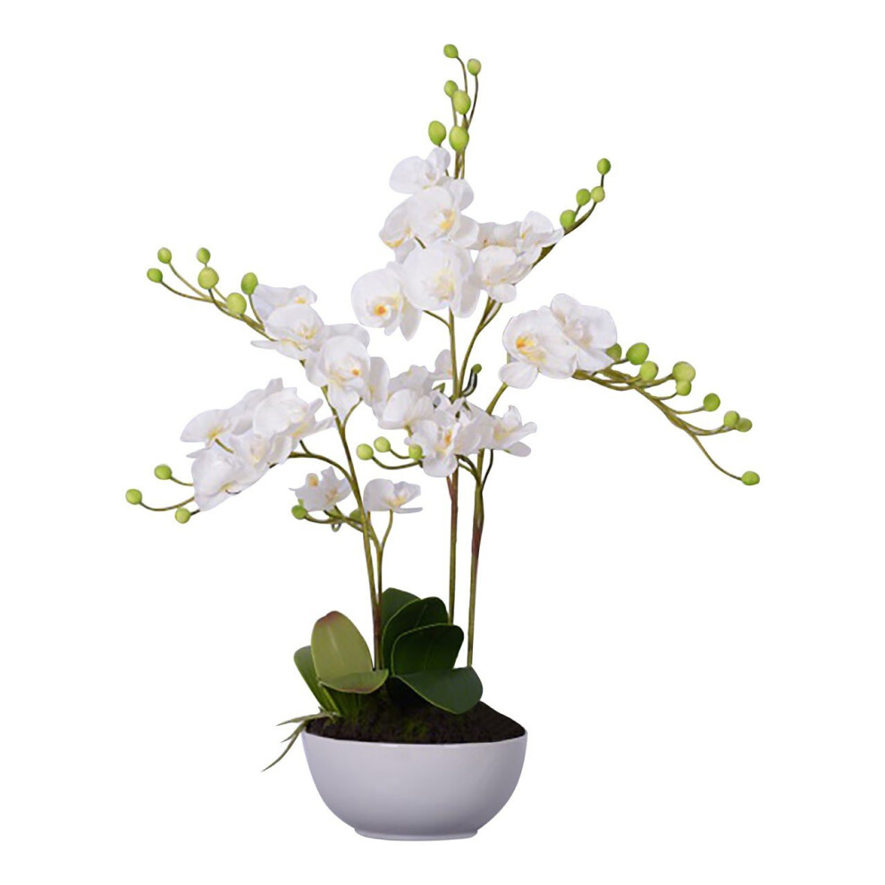 Fiori Artificial flowers Fiori White Orchid Plant