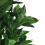 Leaf Extra Large Artificial Bay Tree 120cm | Cone Shaped Bay Tree 5