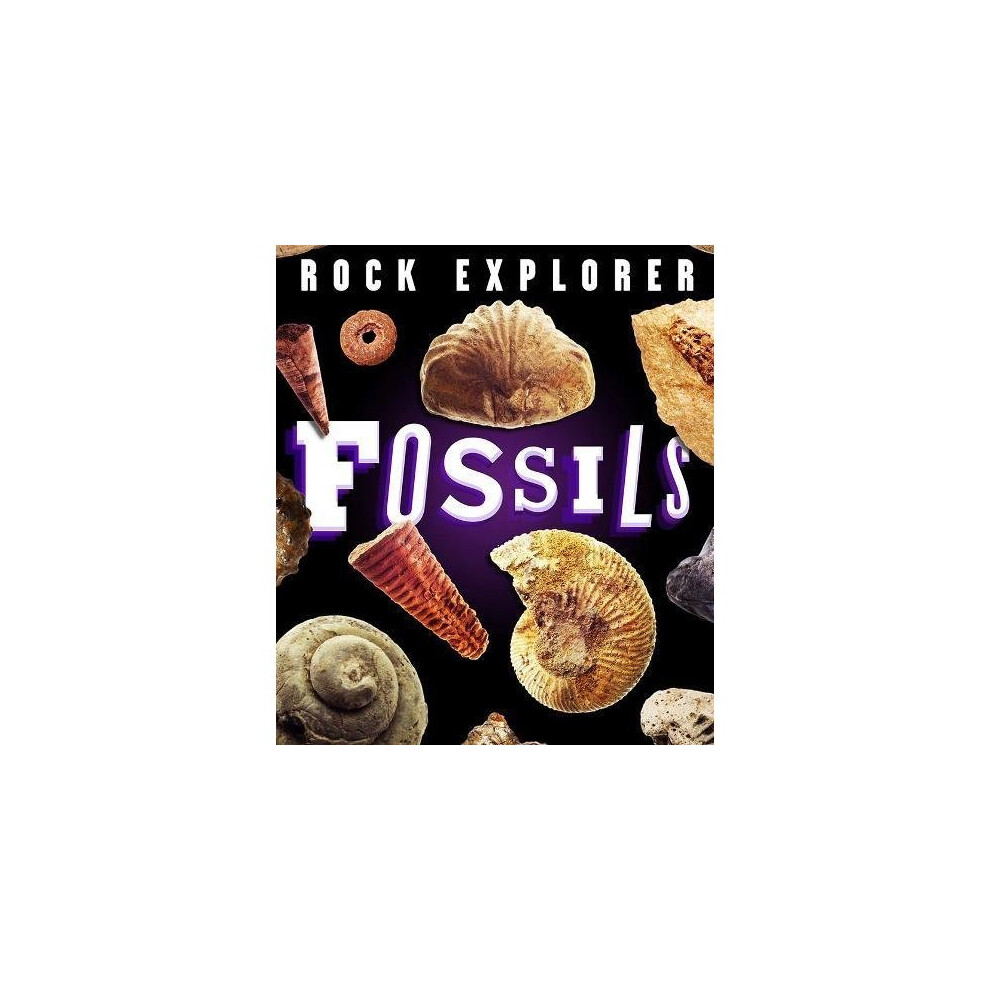 Rock Explorer: Fossils