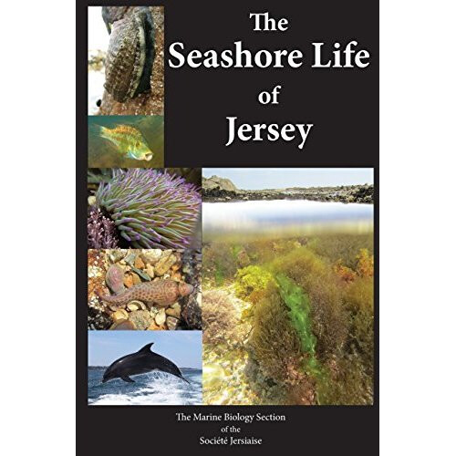 The Seashore Life of Jersey