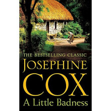 A Little Badness: An irresistible and wildly romantic saga