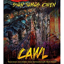 Cawl