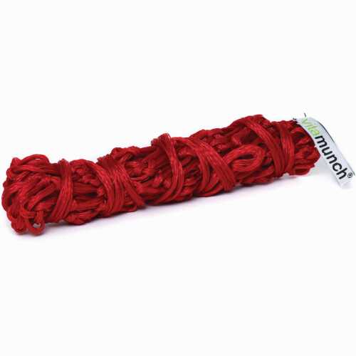 (Red) Equilibrium Munch Net