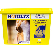 Horslyx Garlic Stable Lick Refill 5 Kg