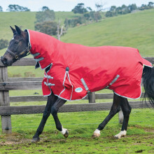 (4ft 6inch) Weatherbeeta Comfitec Classic Combo Neck Lite Turnout Rug
