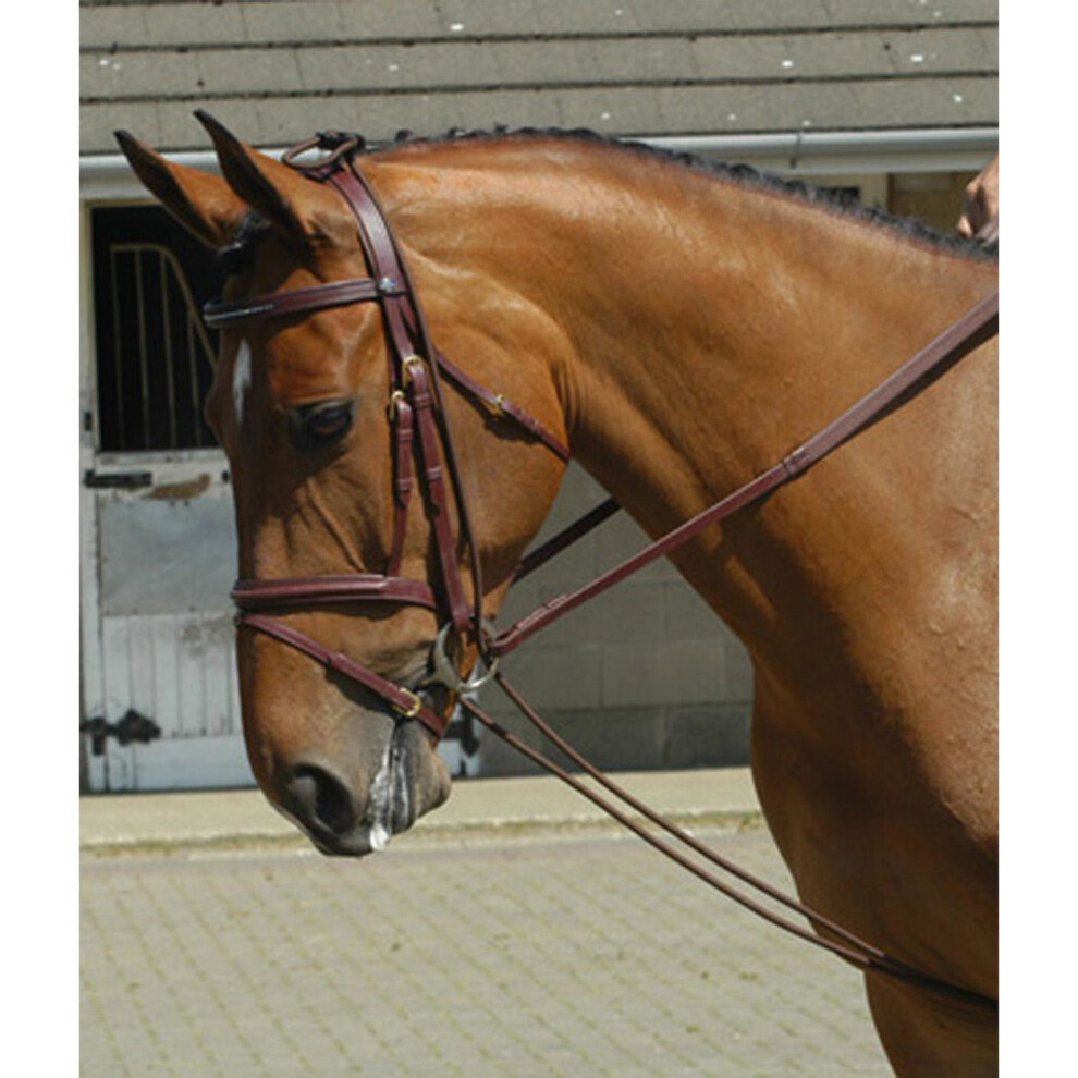 Brown (Brown) John Whitaker Training Reins