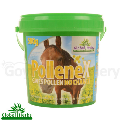 (500g) Global Herbs Pollene-X
