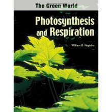 Photosynthesis and Respiration (The Green World)