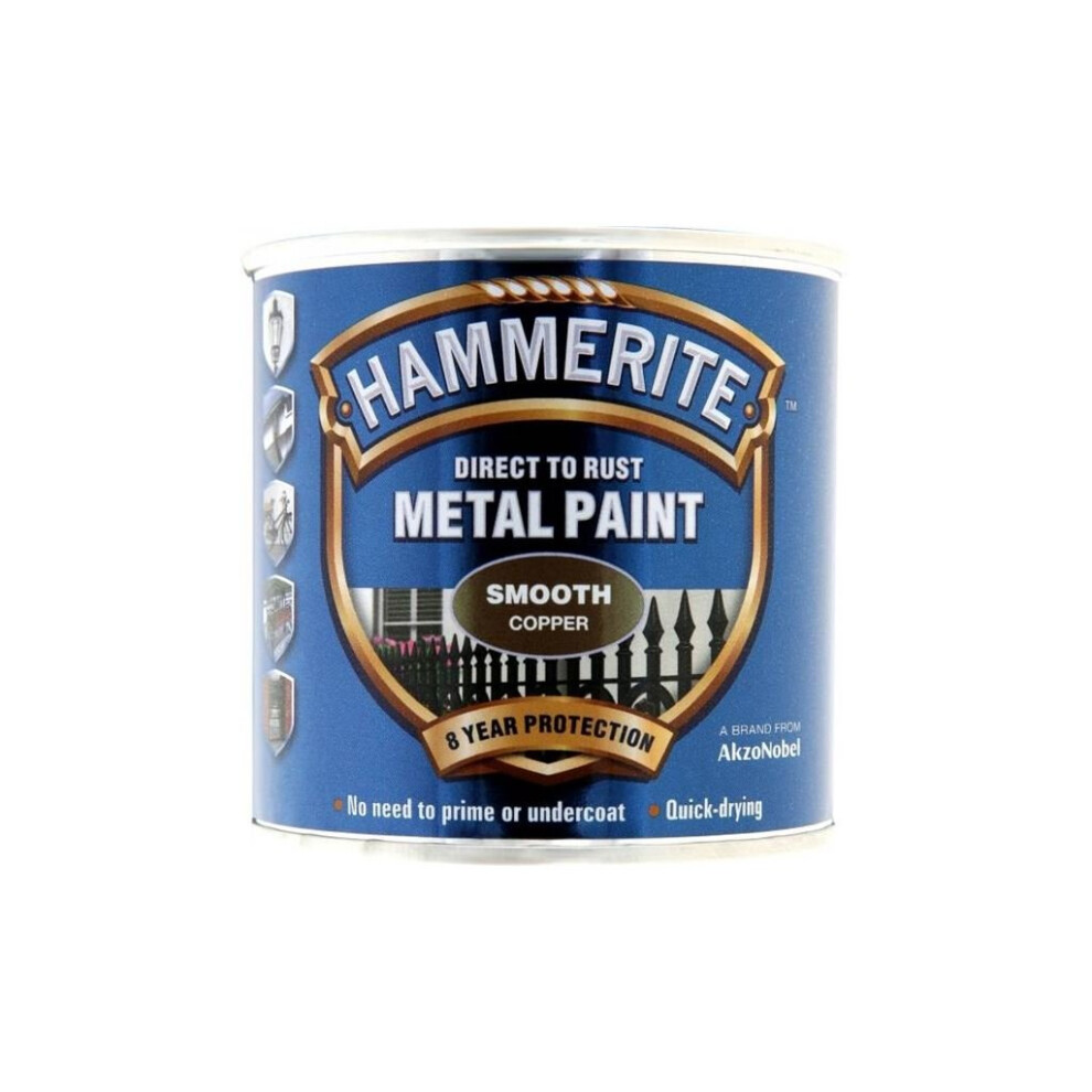 Direct To Rust Metal Paint - Smooth Copper - 250ml