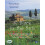 A Place in the Sun:Favourite Destinations 1