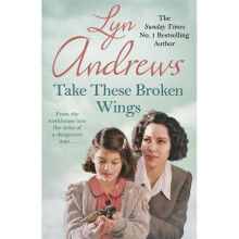 Take these Broken Wings: Can she escape her tragic past?