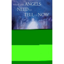 What the Angels Need to Tell Us Now: Receiving, Considering and Acting on Their Messages