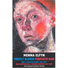 Perfect Blemish/Perffaith Nam: New and Selected Poems 1995-1997/Dau Ddetholiad a Cherddi Newydd 1995-2007