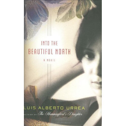 Into the Beautiful North: A Novel