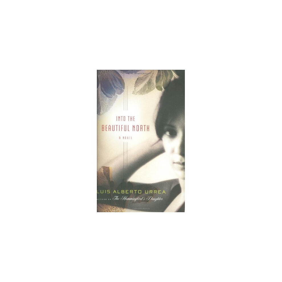 Into the Beautiful North: A Novel
