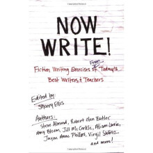 Now Write!: Fiction Writing Exercises from Today's Best Writers and Teachers