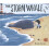 The Storm Whale 1