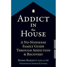 Addict in the House: A No-Nonsense Family Guide Through Addiction and Recovery
