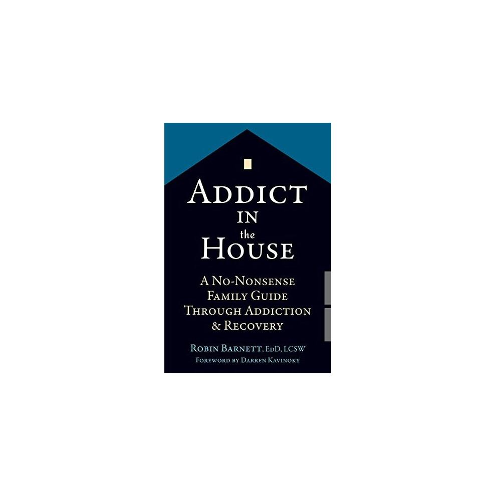 Addict in the House: A No-Nonsense Family Guide Through Addict . - Image 4