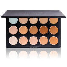 SHANY Cosmetics Professional Cream Foundation and Camouflage Concealer 15 Color Palette, 13 Ounce