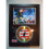 Bruce Springsteen SIGNED GOLD DISC DISPLAY 1