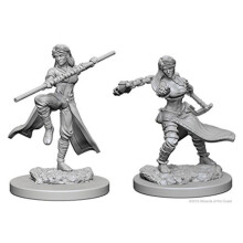 NECA D&D Nolzurs Miniatures Non Peints: Vague 1: Humain Femme Moine