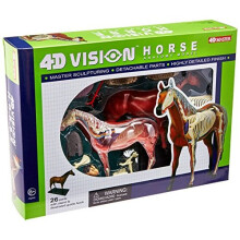Tedco 4D Vision Pferdemodell