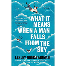 What It Means When A Man Falls From The Sky: The most acclaimed short story collection of the year