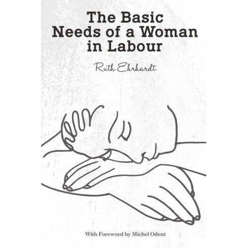 The Basic Needs of a Woman in Labour