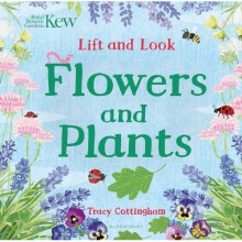 Kew: Lift and Look Flowers and Plants (Bloomsbury Activity Books)