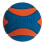 Chuckit! Chuckit Ultra Squeaker Ball Medium 2-pack 2