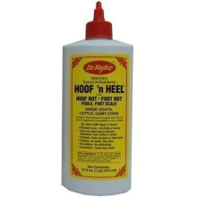 16OZ Top Antibacterial