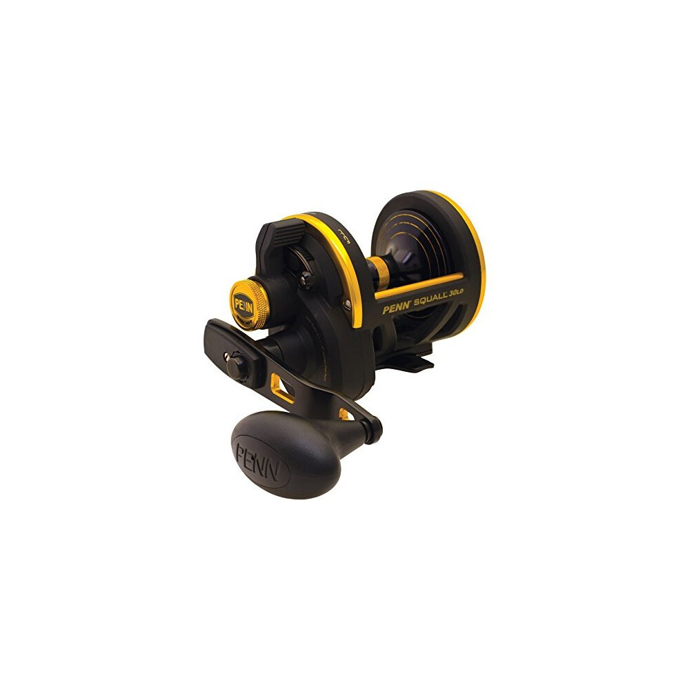 PENN Squall Lever Drag Reel