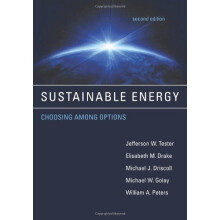 Sustainable Energy: Choosing Among Options