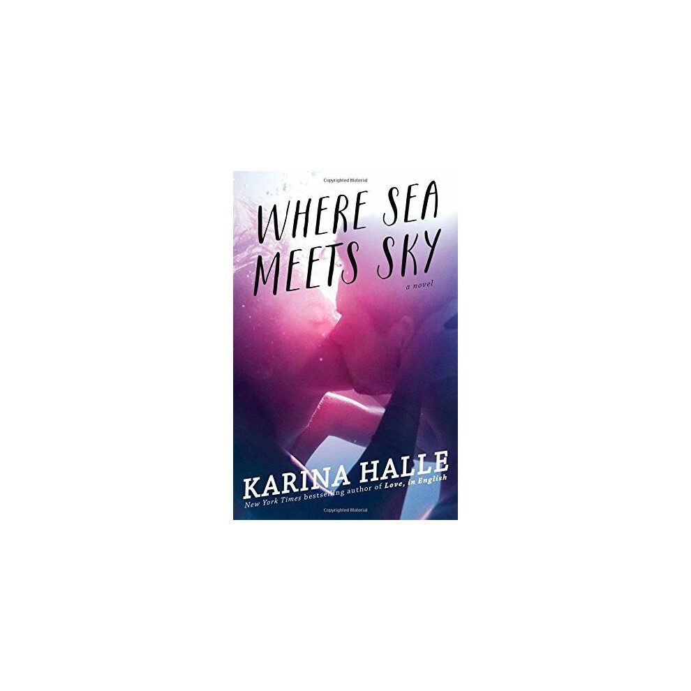 Where Sea Meets Sky: A Novel