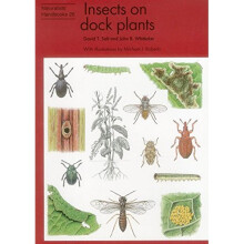 Insects on dock plants (Naturalists' Handbooks)