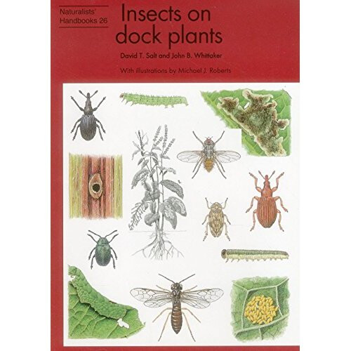Insects on dock plants (Naturalists' Handbooks)
