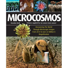 Microcosmos: Discovering the World Through Microscopic Images from 20X to Over 22 Million X Magnification