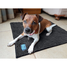 (x large) Henry Wag Microfibre Noodle Pet floor or dog bed Mat