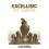 Excelling At Chess 1