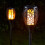 Smart Garden Products Smart Garden Solar Cool Flame Torch (1012620) 1