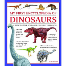 My First Encylopedia of Dinosaurs: A First Encyclopedia with Supersize Pictures