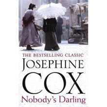 Nobody's Darling: A captivating saga of family, friendship and love