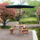 Outsunny Outsunny 6 Seater Wooden Picnic Table 7